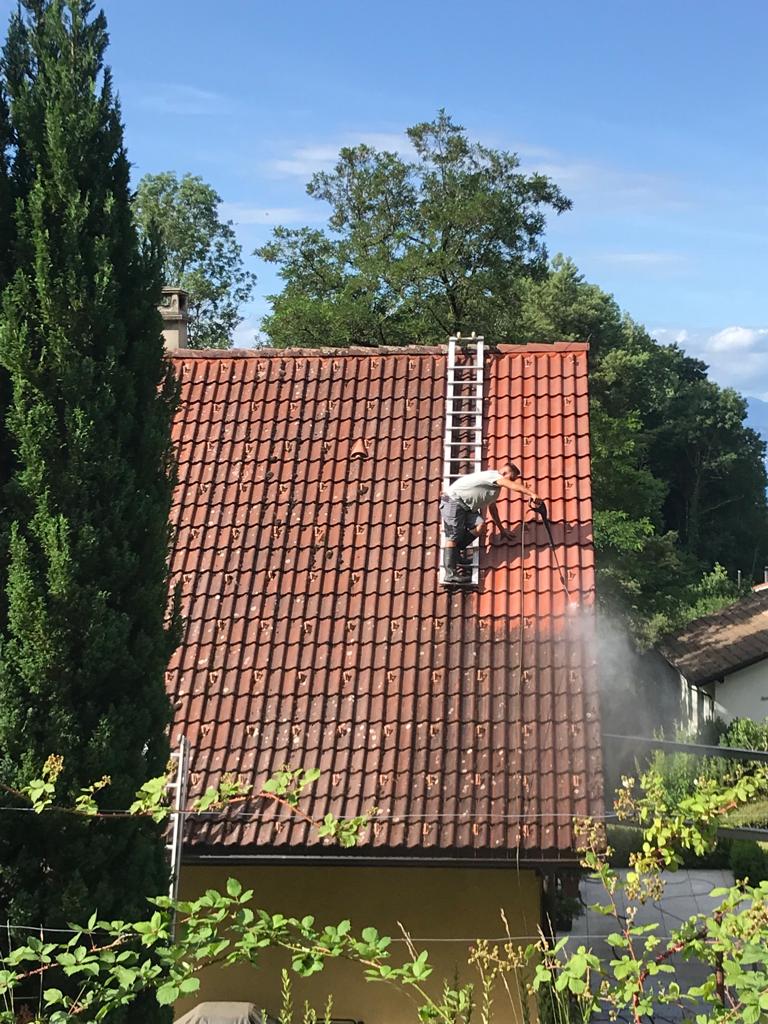 Démoussage de toiture à Bruxelles : protégez durablement votre toit avec Wallonie Roofing